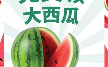 在线免费吃瓜,揭秘网络世界的免费娱乐盛宴